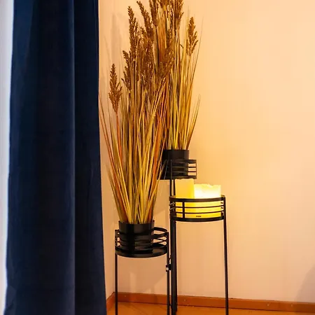 Klassen Apartments! Schnuckeliges - Mit Balkon -in -fuer Vier Personen - 1 Og Апартаменты Бад-Заульгау